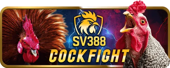 Minh họa việc thu thập dữ liệu người dùng an toàn tại bj99